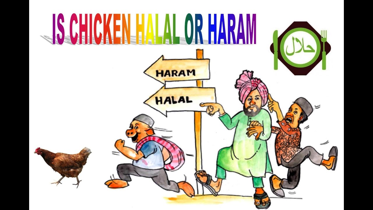 halal in islam